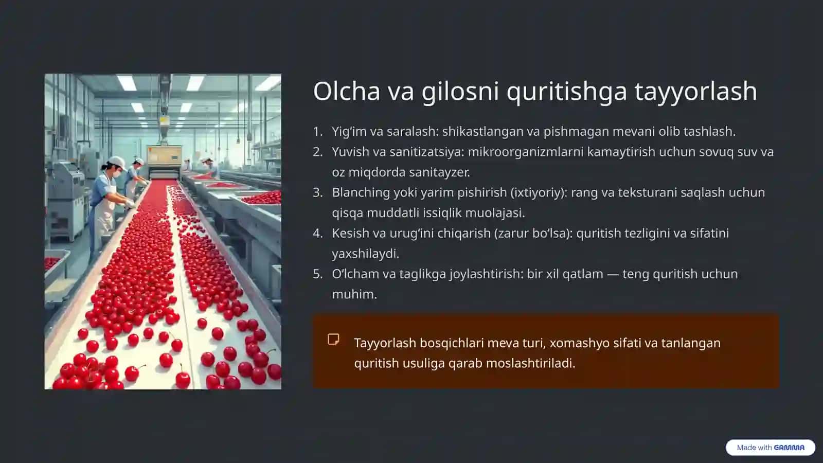 Olcha va Gilosni Quritish Texnologiyasi: Sanoat Sirrlari 3