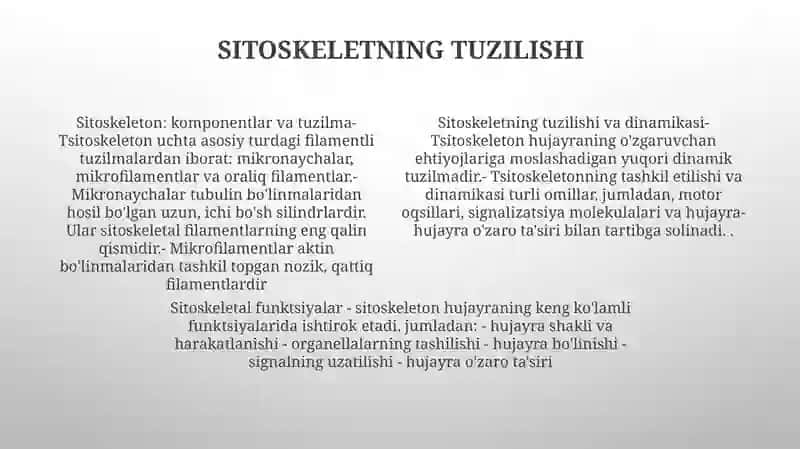 Hujayra Setoskeletining Strukturaviy Va Funksional Tashkil Etilishi 3