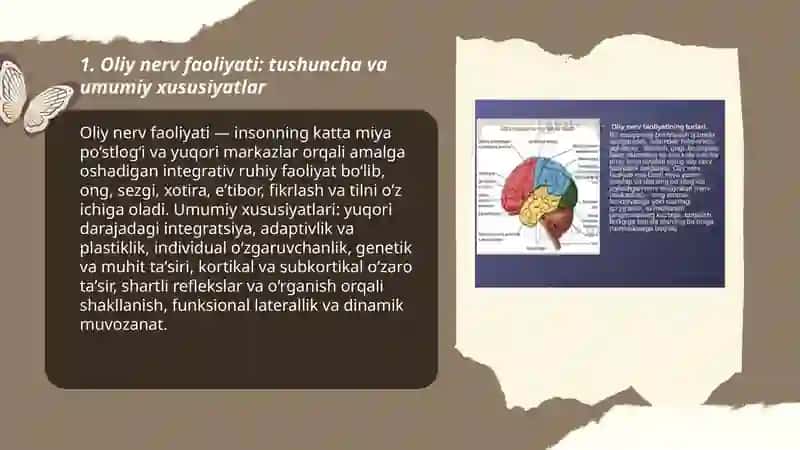 Oliy nerv faoliyatiga fiziologiyagasiga umumiy tavsif 3