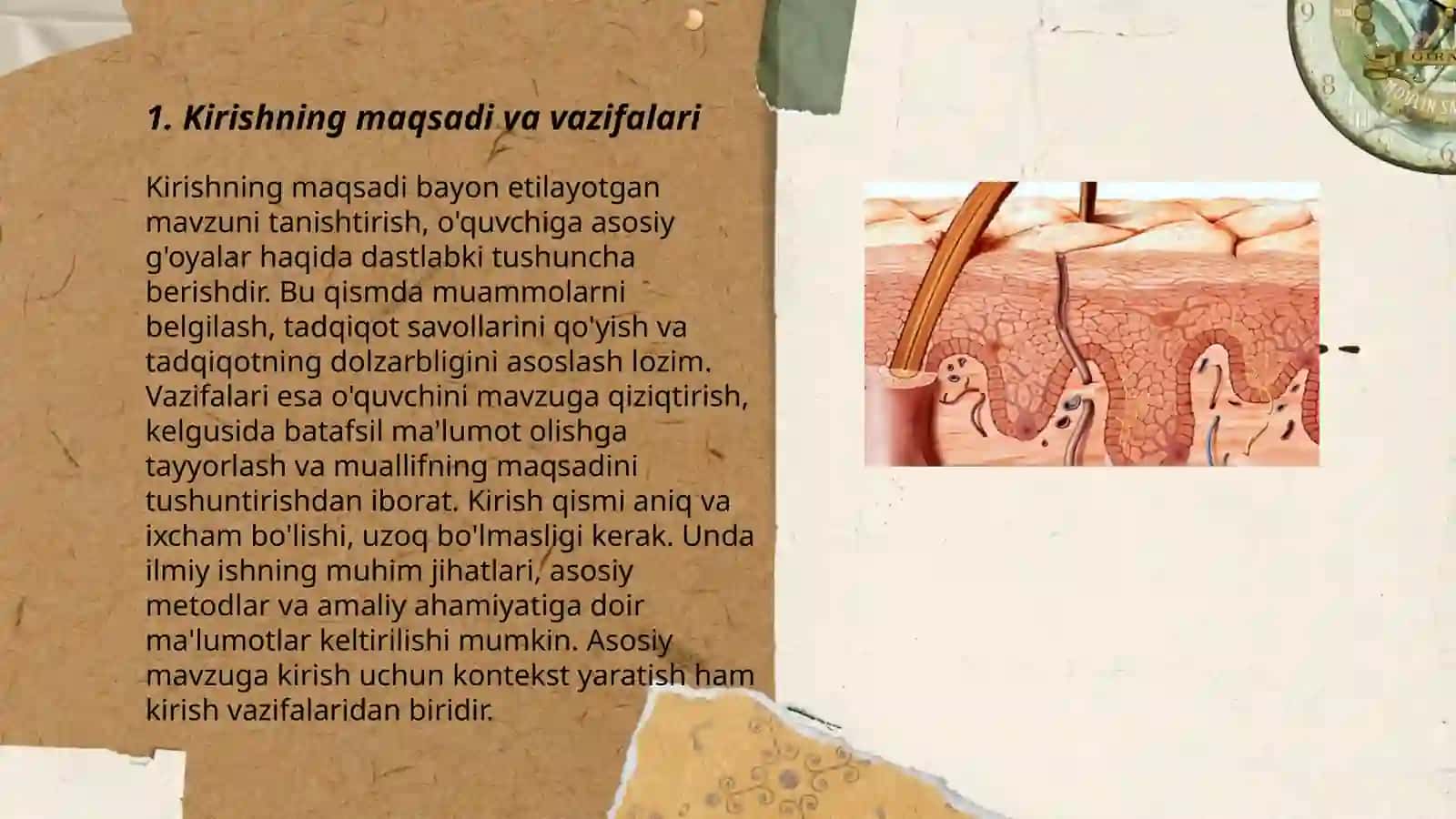 Teri tuzilishi mavzusida 5E modeli 3