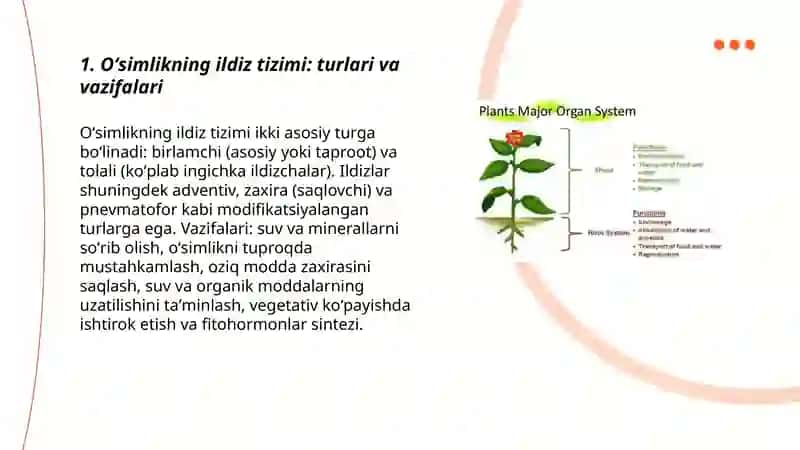 Oʻsimlikning vegetativ organlari 3