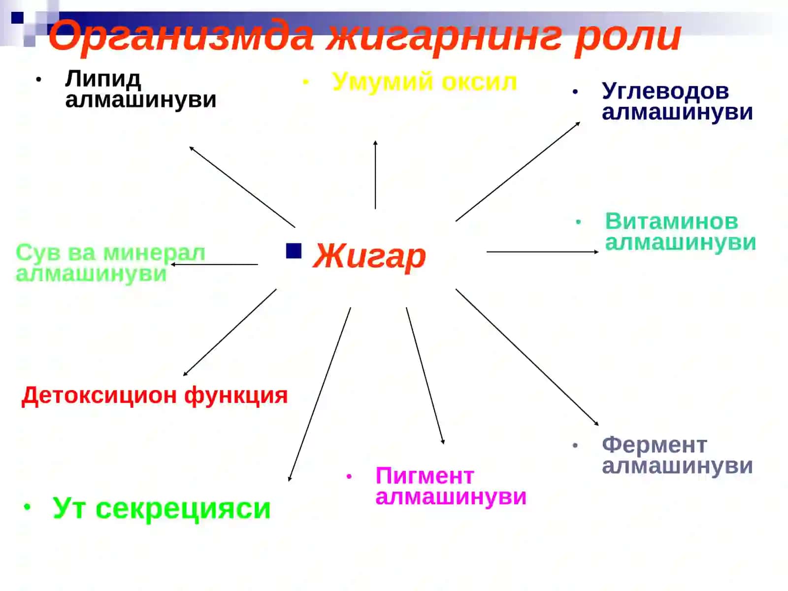 Сурункали гепатитлар. Жигар циррози 3
