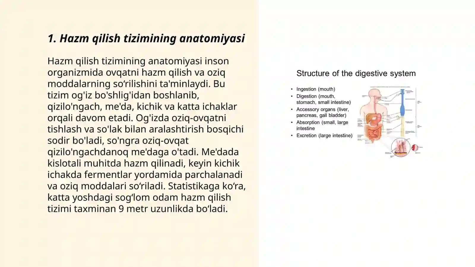 Hazm qilish sistemasi va ichak kasalliklari 3
