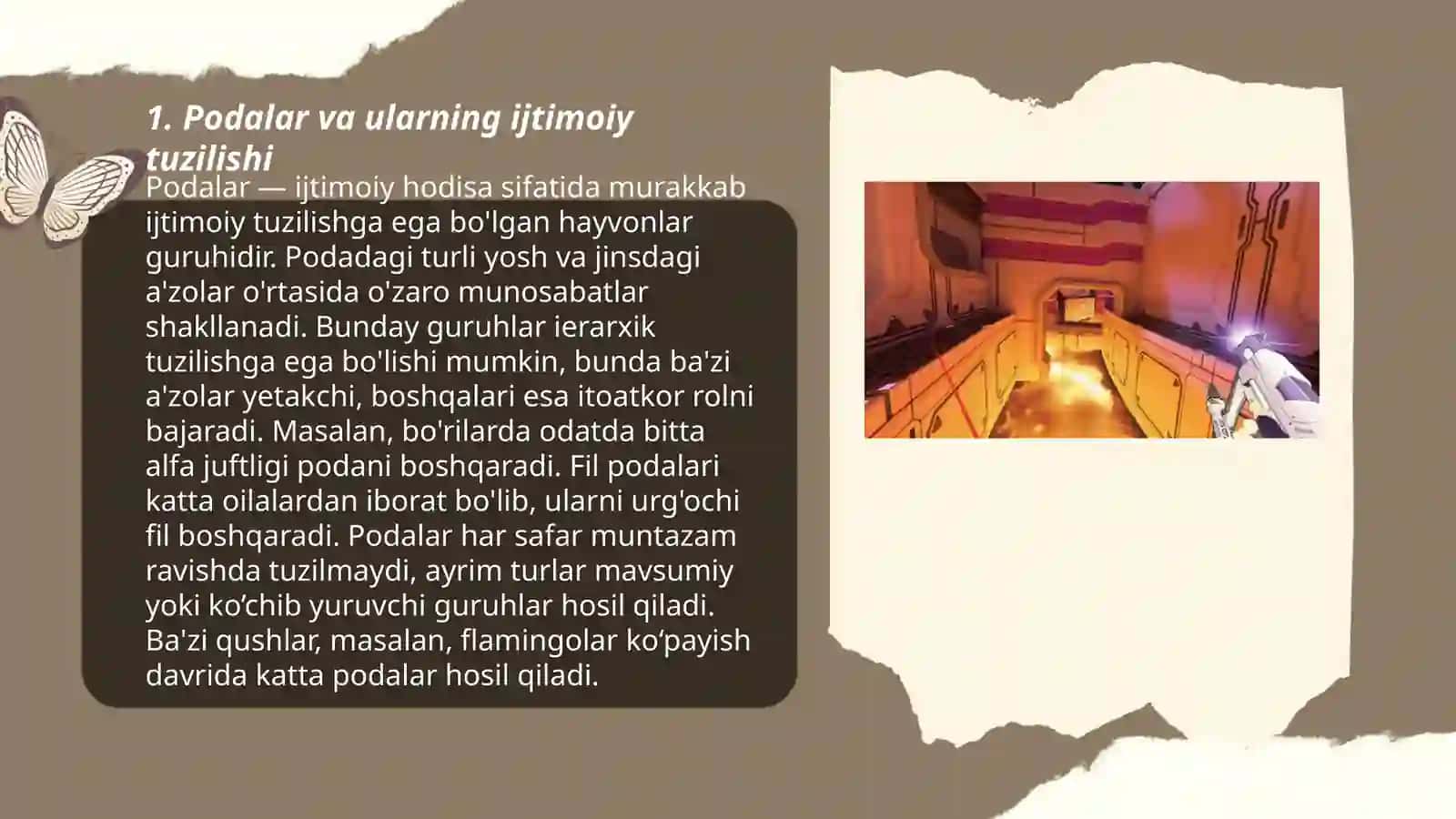 Podalar va ularning ijtimoiy tuzilishi 3