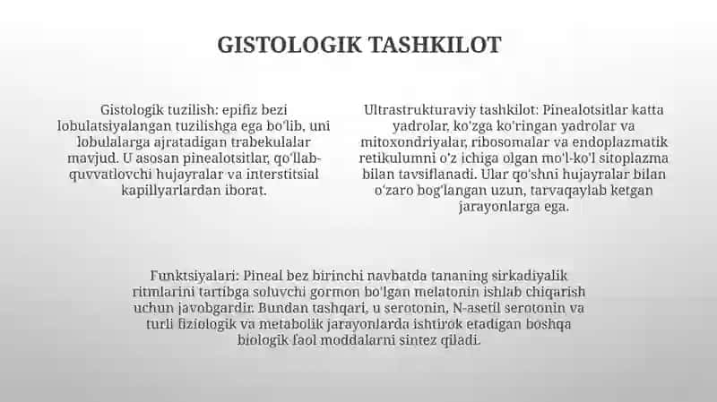Epifizning Ultrastrukturaviy Tashkil Etilishi Va Funktsiyalari 3