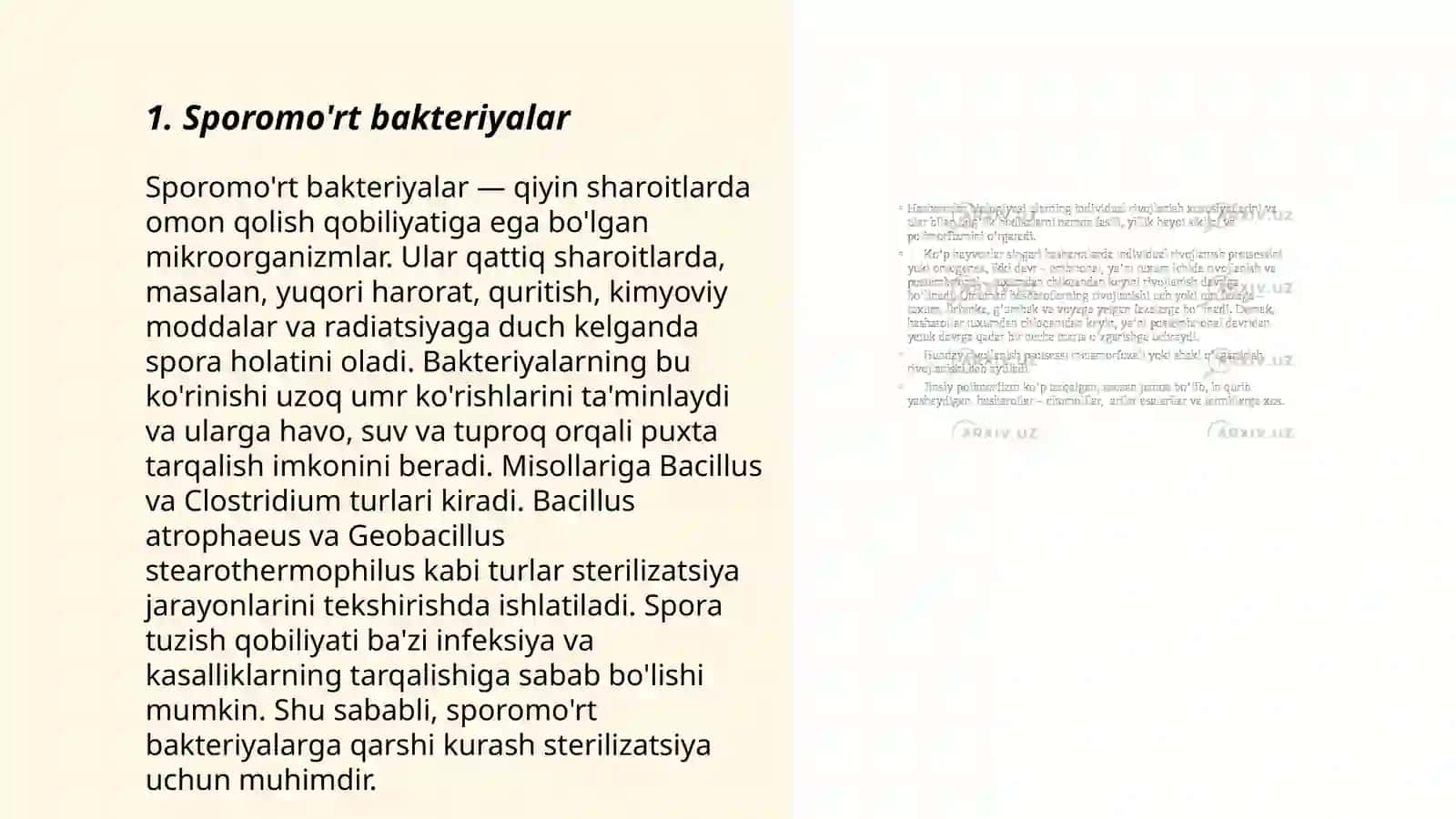 Bakteriyalarning spora xosil qilishi va sistematikasi 3
