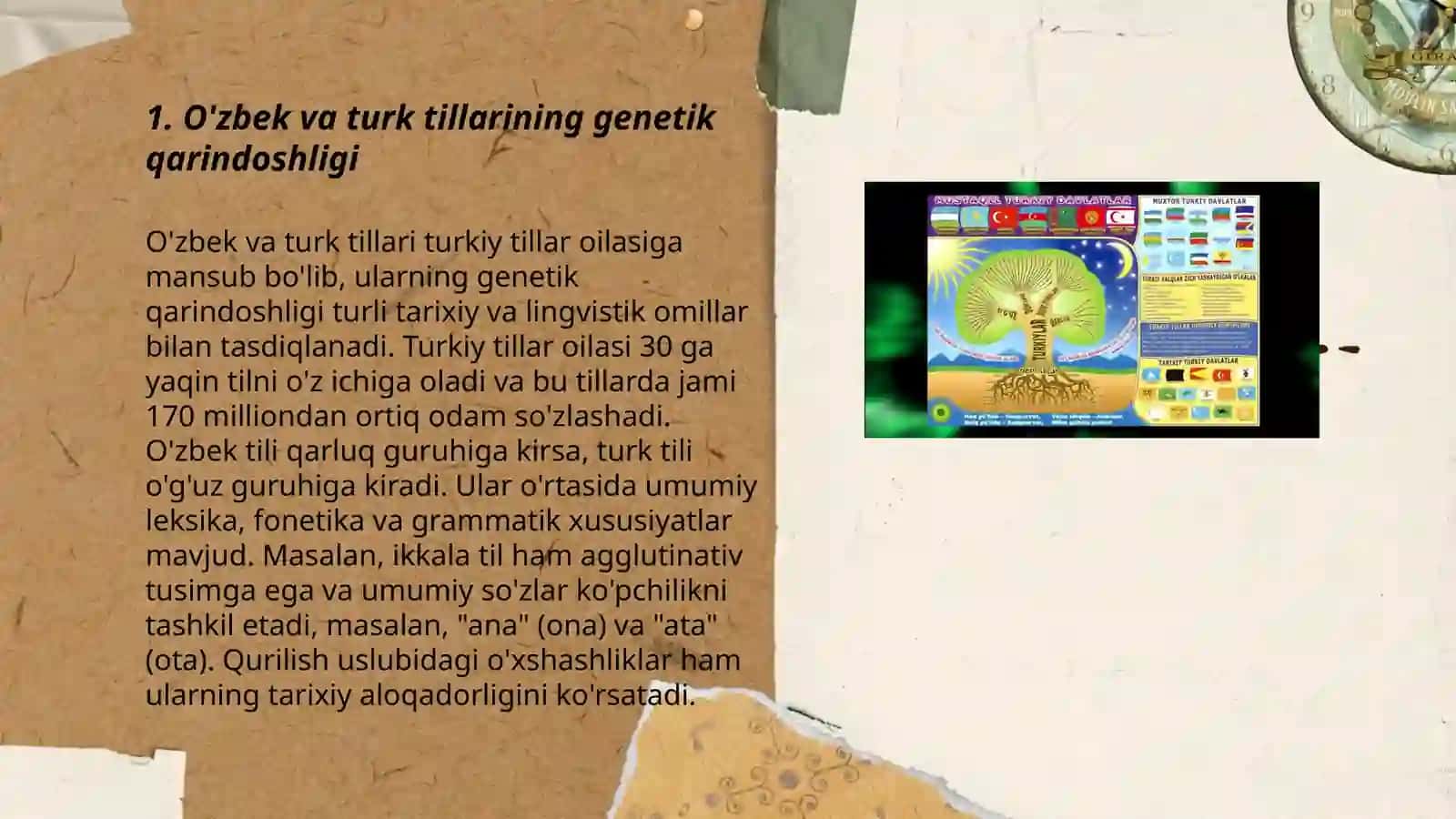 Turk va O'zbek tillarining genetik qarindoshligi 3