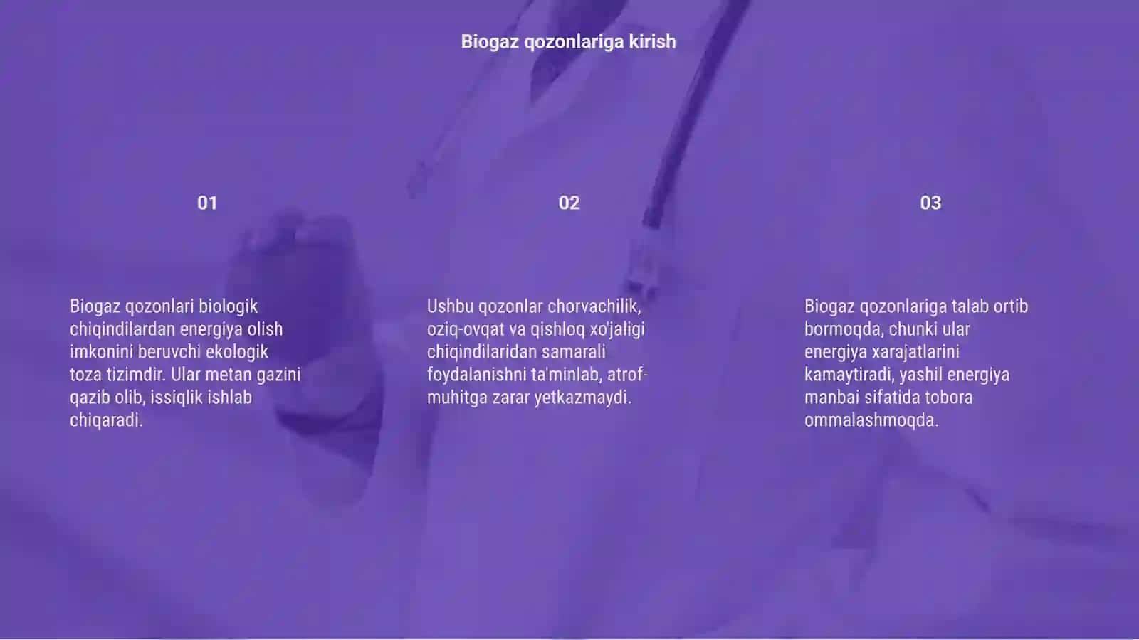 Biogaz qozonlari 3
