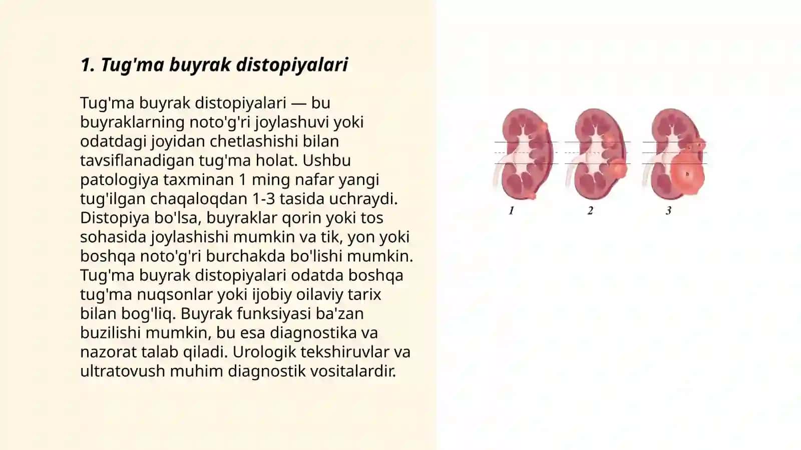 Chаqаlоqlаr vа yоsh bоlаlаrdа buyrаk, buyrаk jоmlаrining jоyilаshishi vа shакlning xususiyatlаri 3