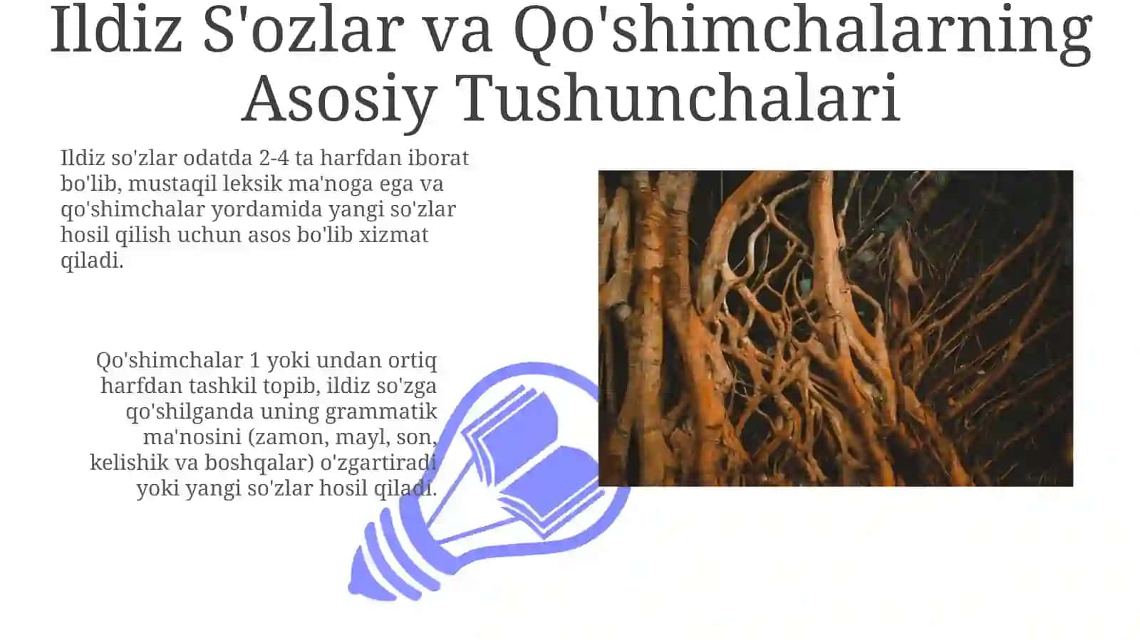 Bosh so'z va qo'shimchalar o'rtasidagi bog'lanishlar 3