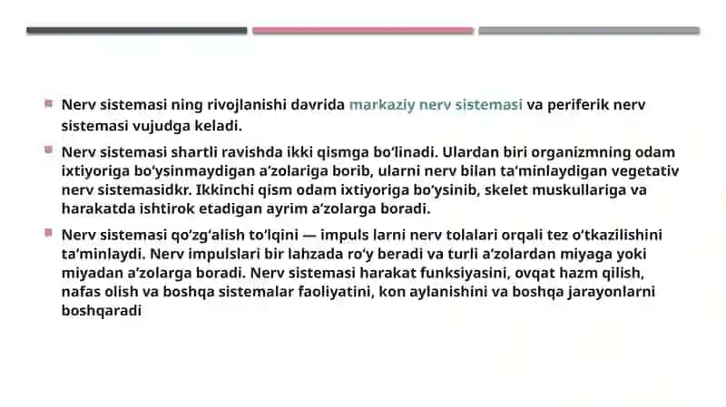 Nerv sistemasi 3