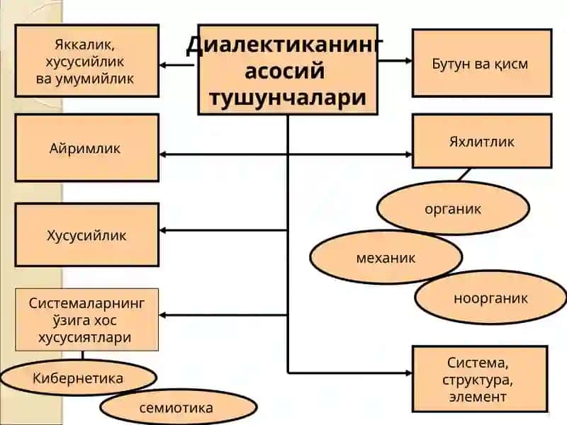 Ўзаро алоқадорлик ва ривожланиш қонунлари 3