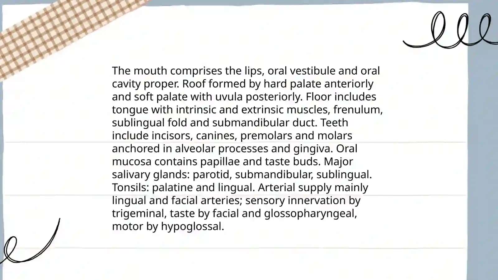 The mouth 3