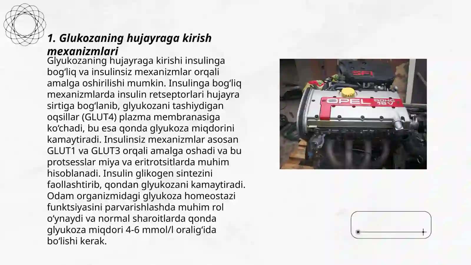 Glyukoza tashuvchilarining tuzilishi, spesifikligi klinik ahamiyati 3