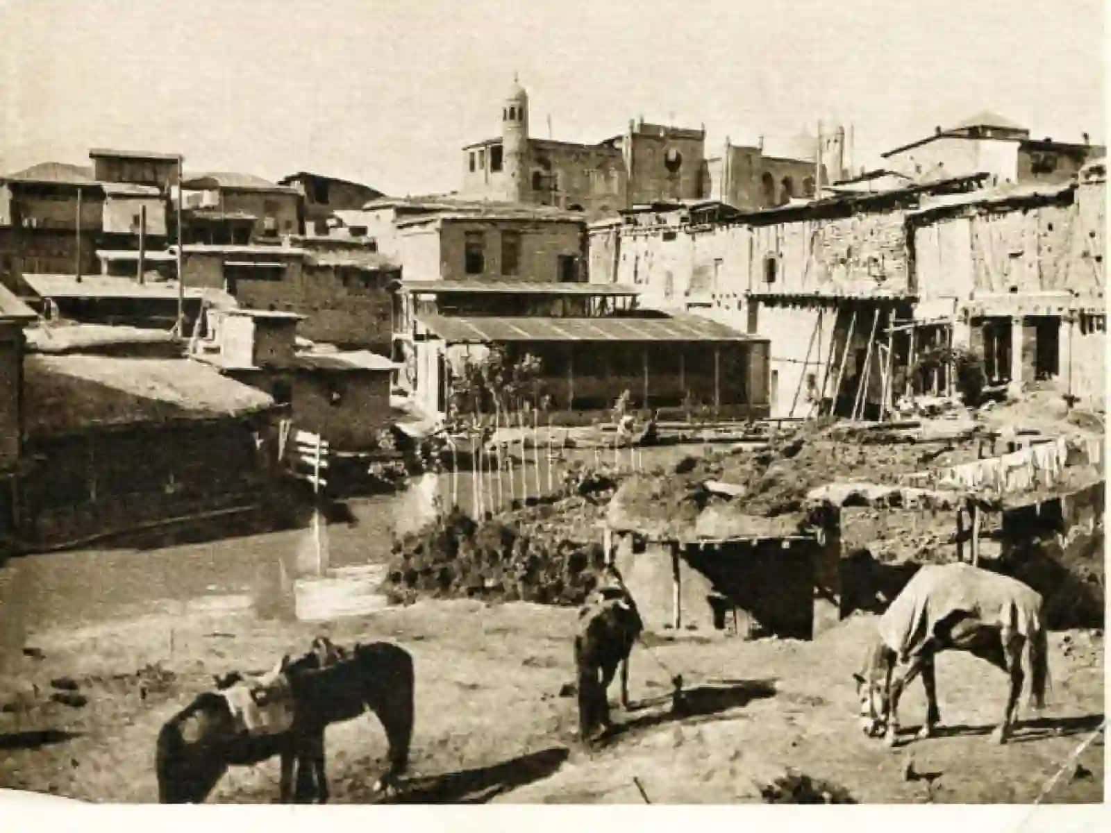 boshlang‘ich sinf taqdimoti 3