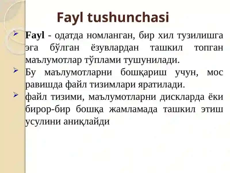 Fayl tizimlari 3