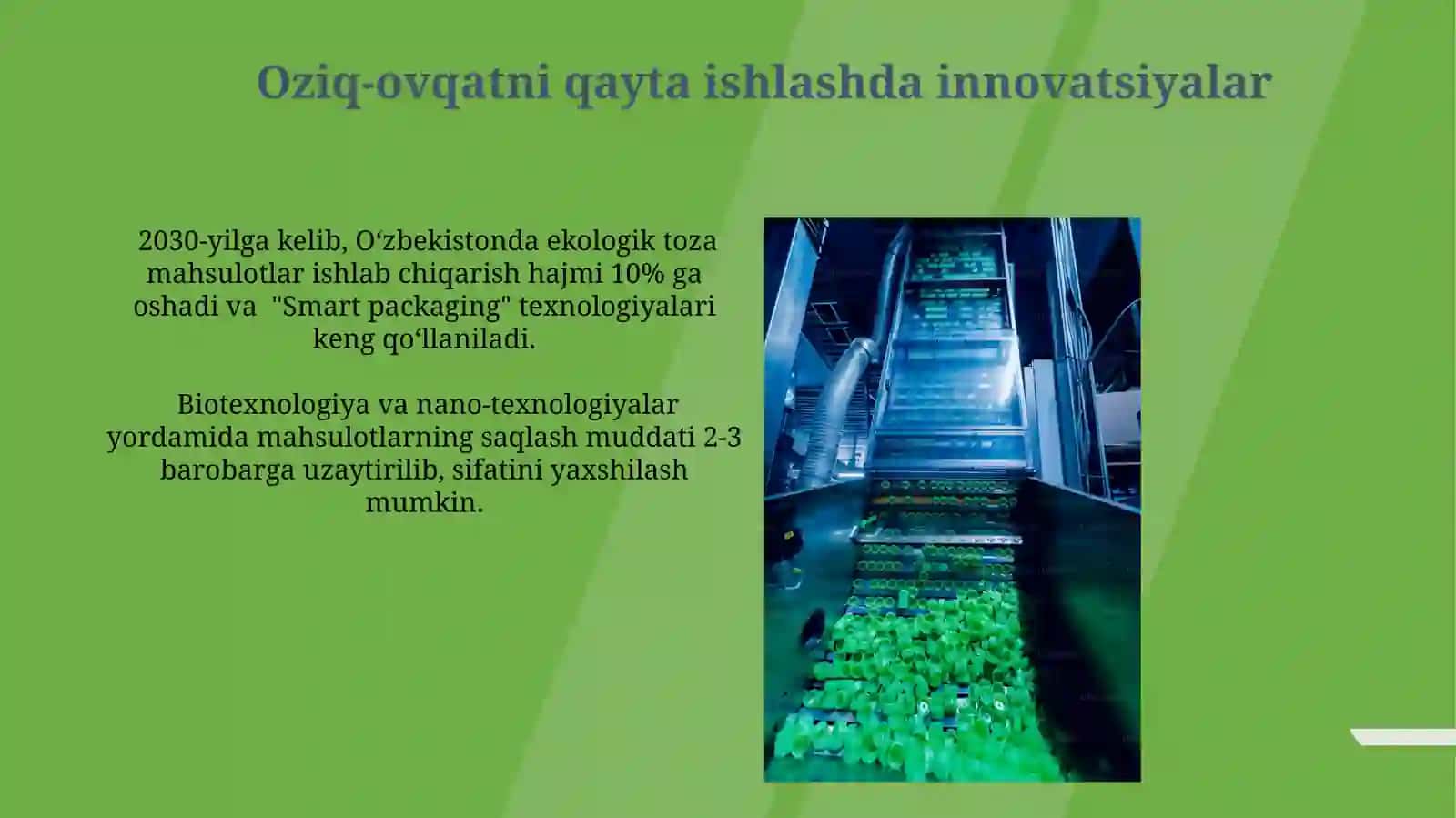 Oziq-ovqat mahsulotlarini qayta ishlash tizimining rivojlanishi 3