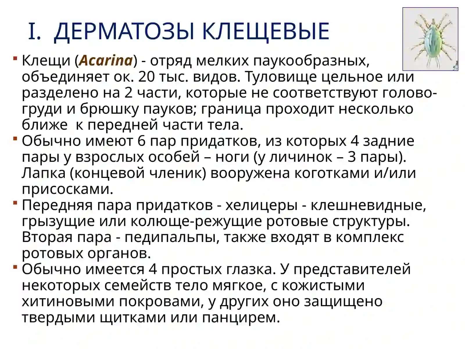 ДЕРМАТООЗООНОЗЫ 3
