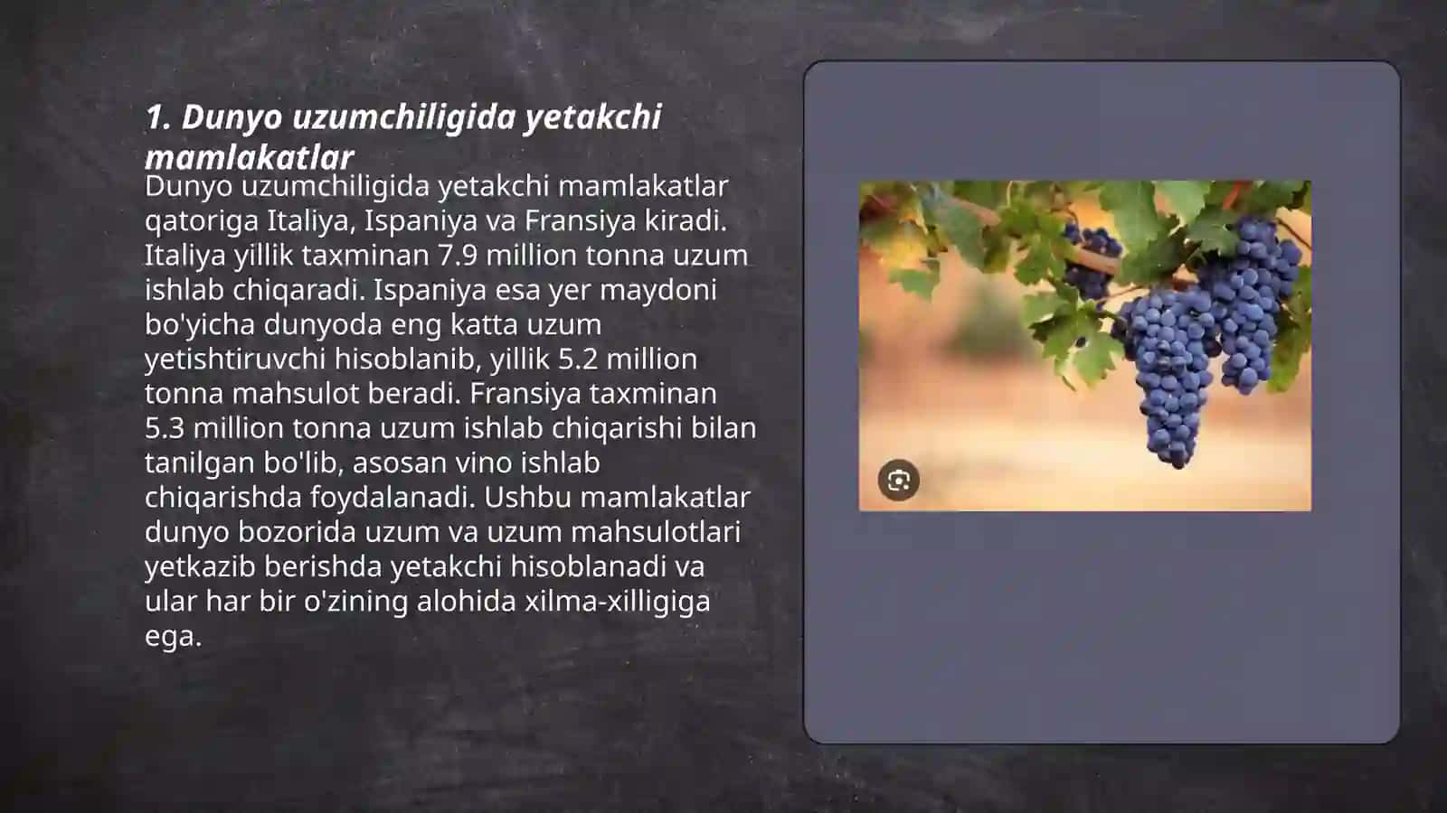 Dunyo uzumchiligi.Uzumchilik rivojlangan davlatlar vino,sharbat va quritilgan mahsulot tayyorlanadigan hududlar 3