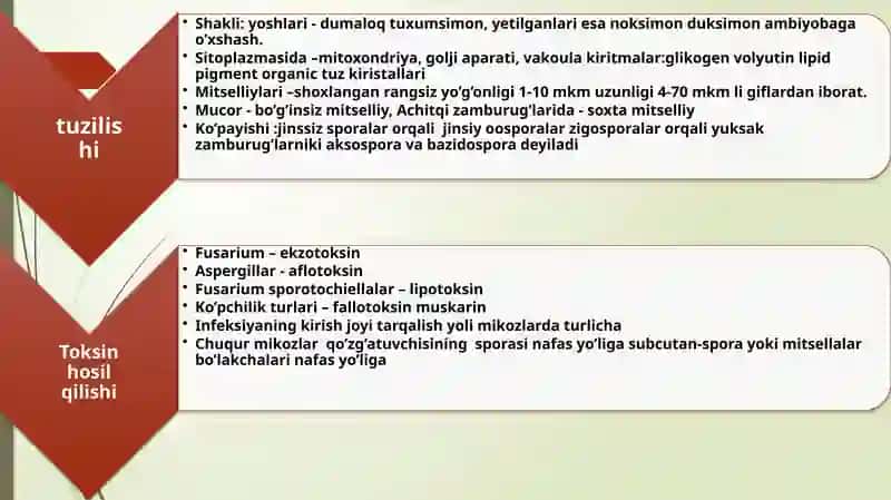 Zamburug’lik asalliklarning qo’zg’atuvchisi patogenezilaboratoriyatashxisi 3