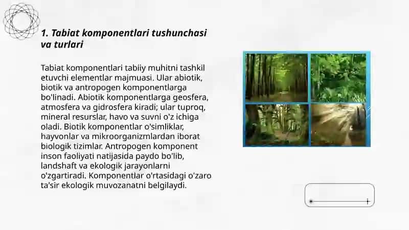 Tabiat komponentlari haqida tushuncha va tabiat komponentlari 3