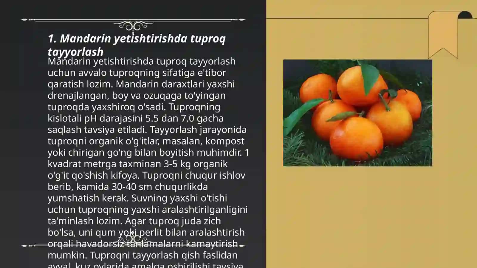 Mandarin yetishtirish 3