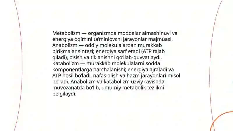 Metabolizm 3