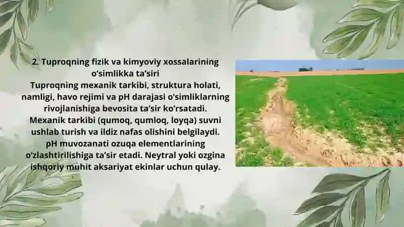 Oʻsimlik chidamliliga tuproq holatining taʼsiri 3