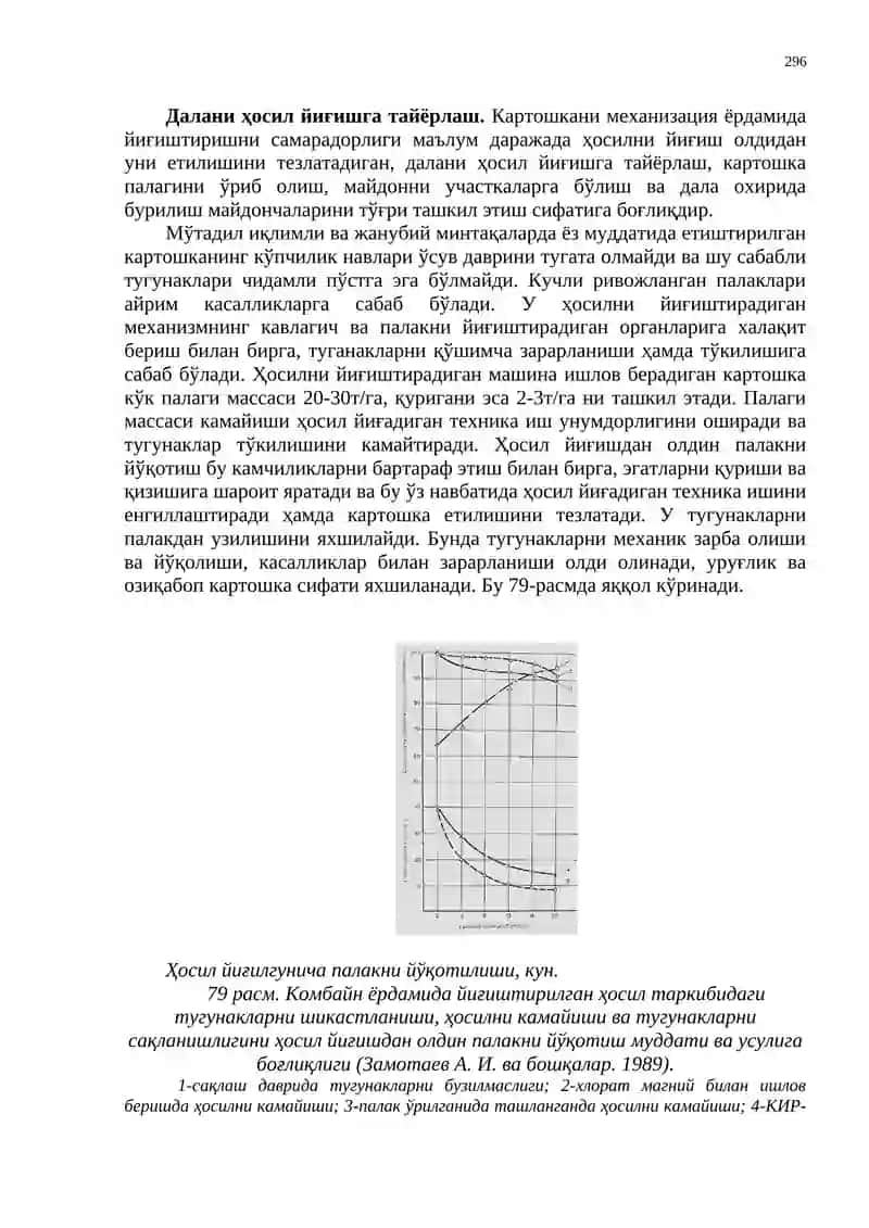 Картошка ҳосилни йиғиштириш 3