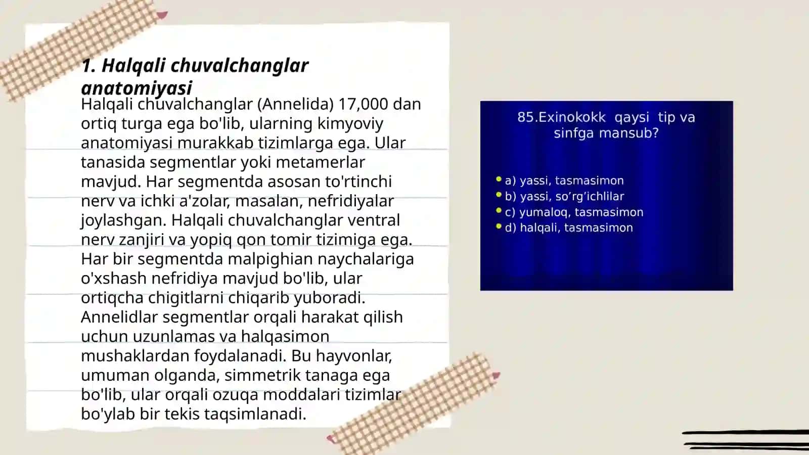 Halqali chuvalchanglar anatomiyasi 3