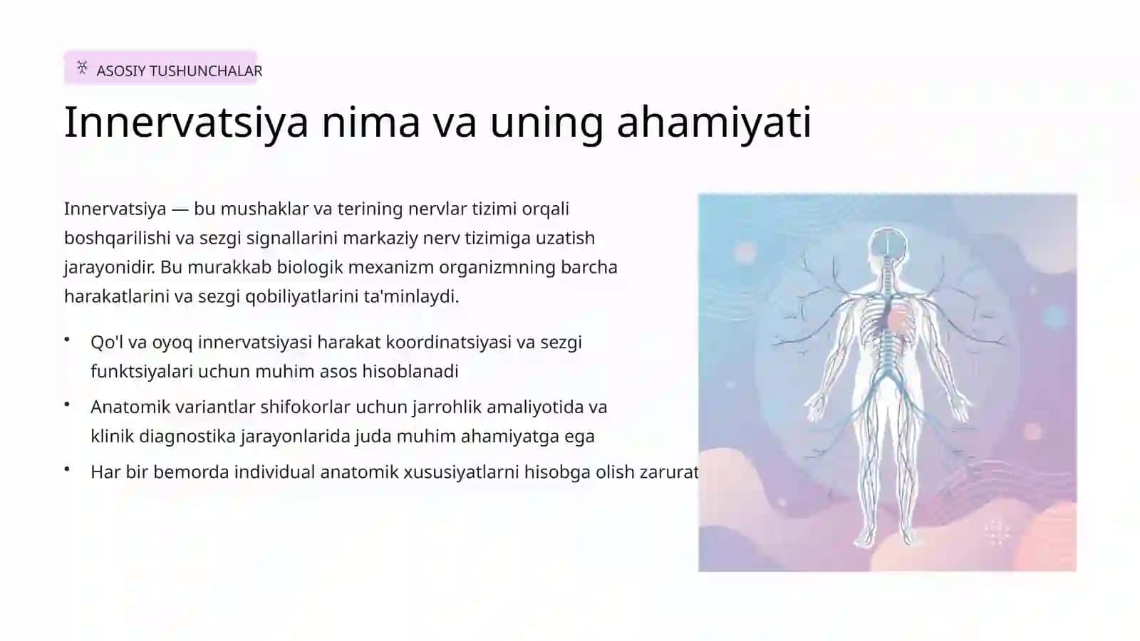 Qo'l va oyoq terisi va mushaklari innervasiyasining variant anatomiyasi 3