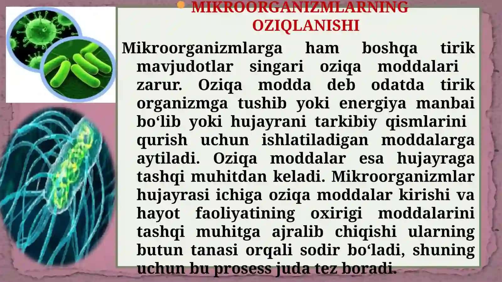 Mikroorganizmlar fiziologiyasi 3