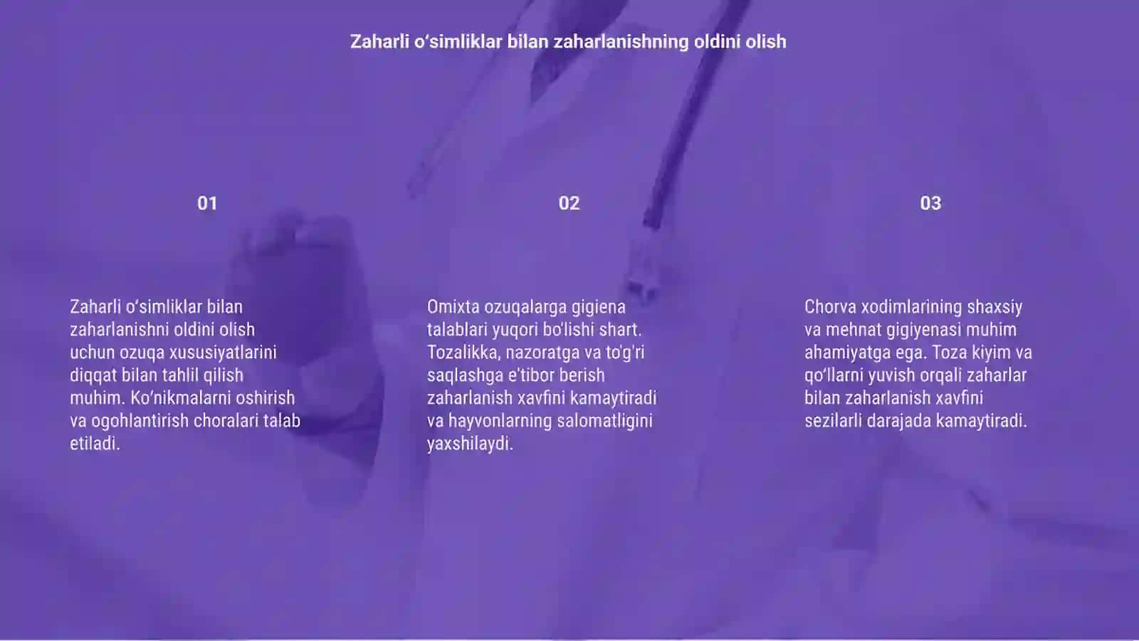 Zaharli oʻsimliklar bilan zaharlanishni oldini olish 3