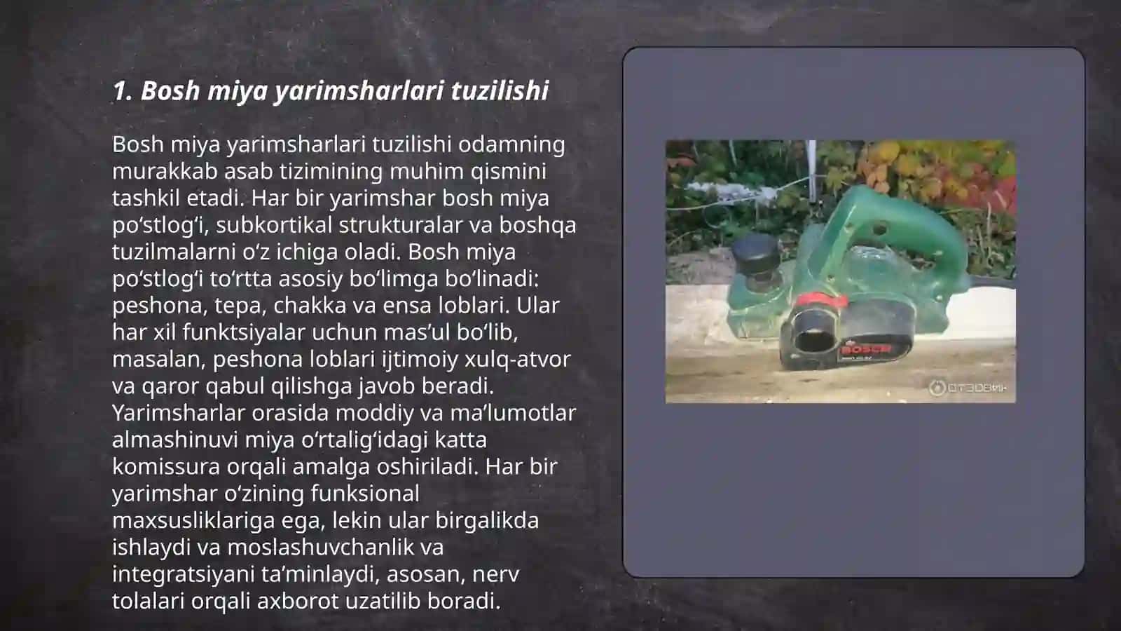 Bosh miya yarimsharlar poʻstlogʻining morfogenezi 3