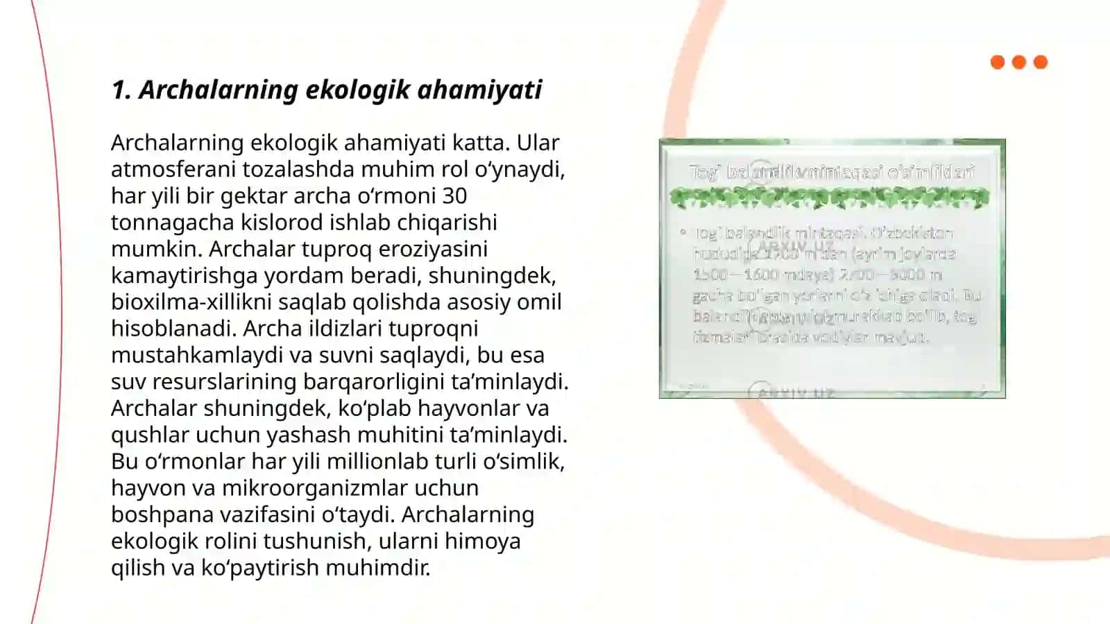Archalar 3