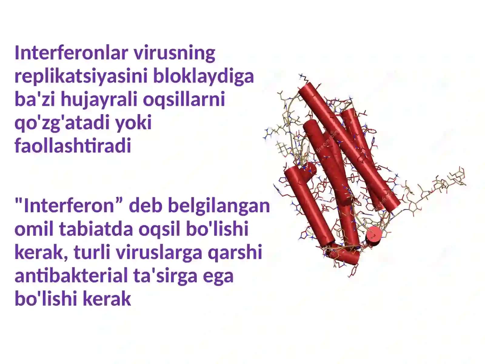 Interferonlar 3