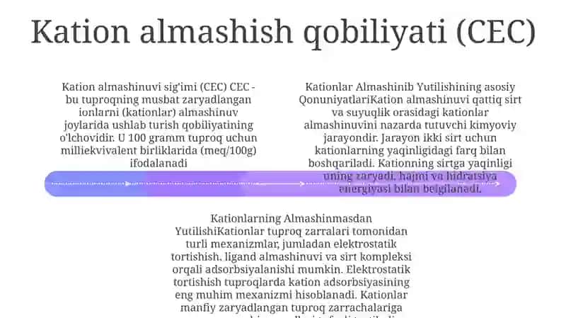 Kationlar Almashinib Yutilishining Asosiy Qonuniyatlari 3