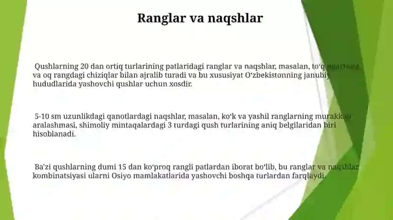 Qushlar aniqlagichlari bilan aniqlash 3