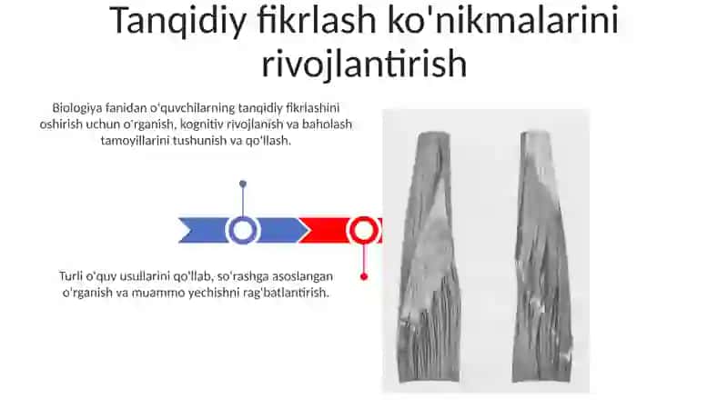 Biologiyani o'qitish tamoyillari va qonunlari 3