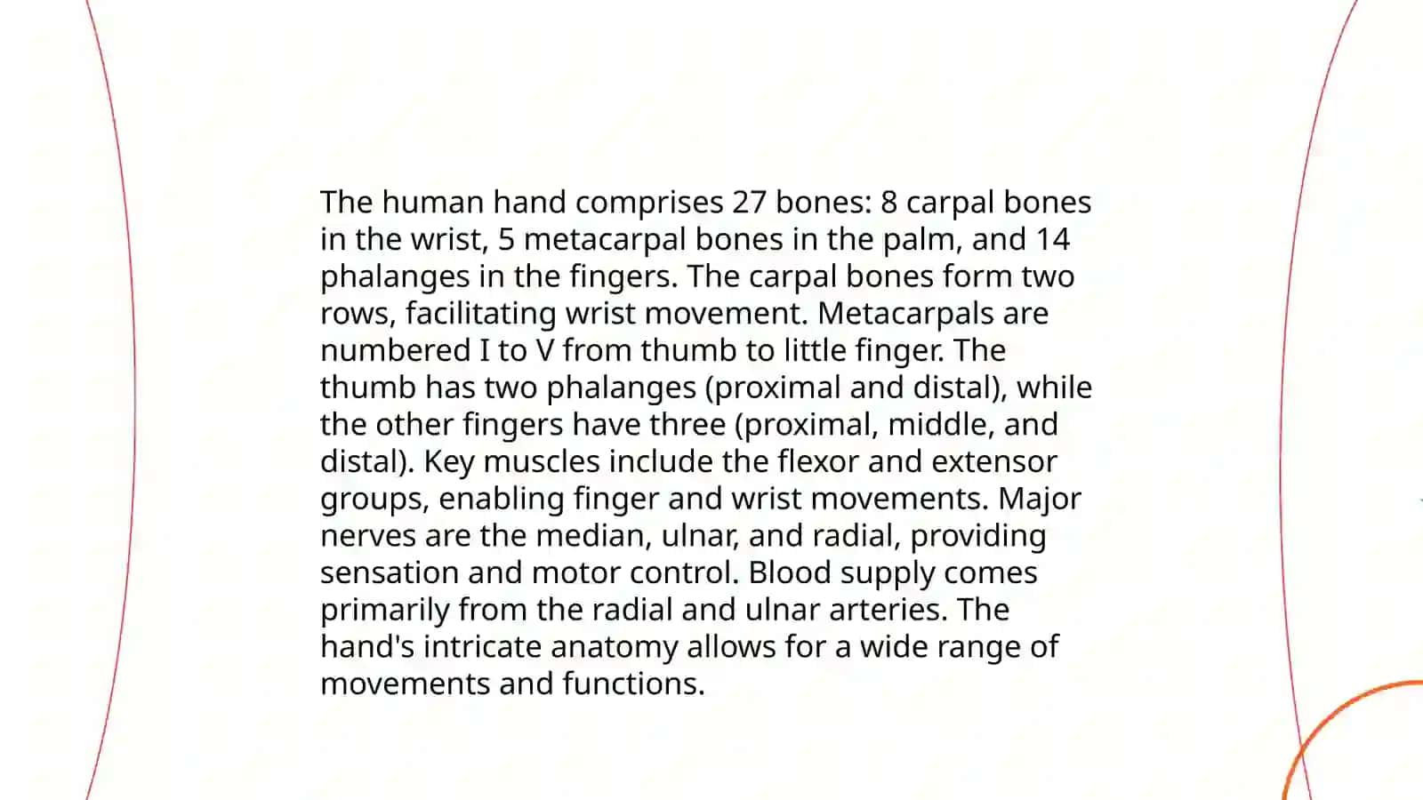 The skeleton:Hands, eyes 3