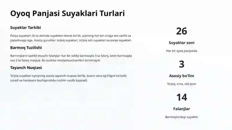 Oyoq Panjasi Suyaklari: Tuzilishi va Ahmiyati 3