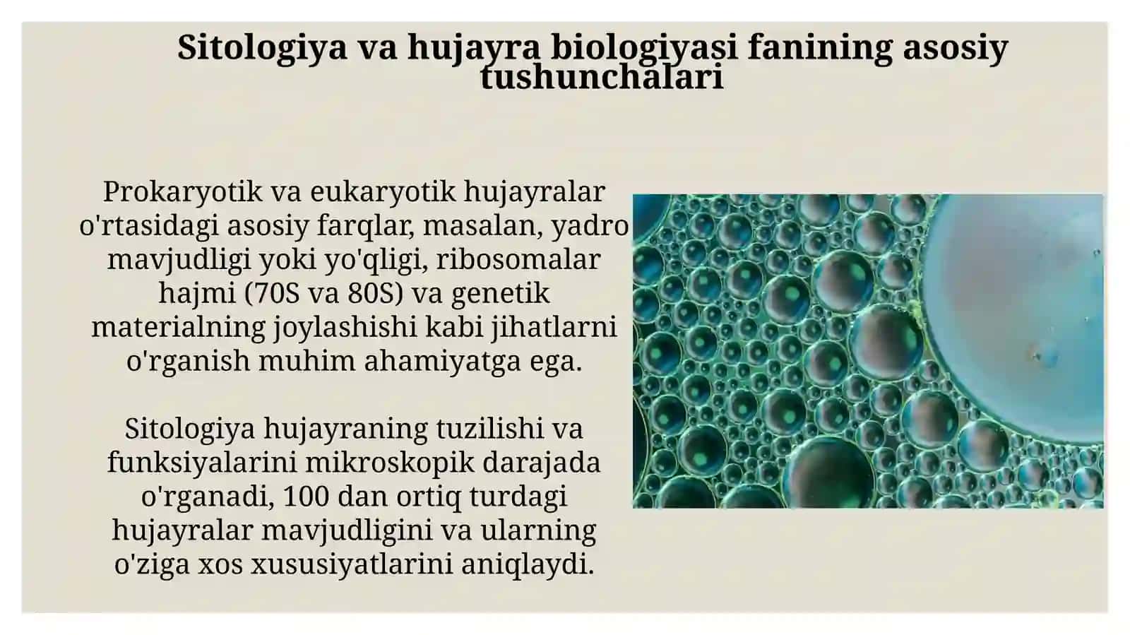 Sitologiyavahujayrahaqidagifan 3