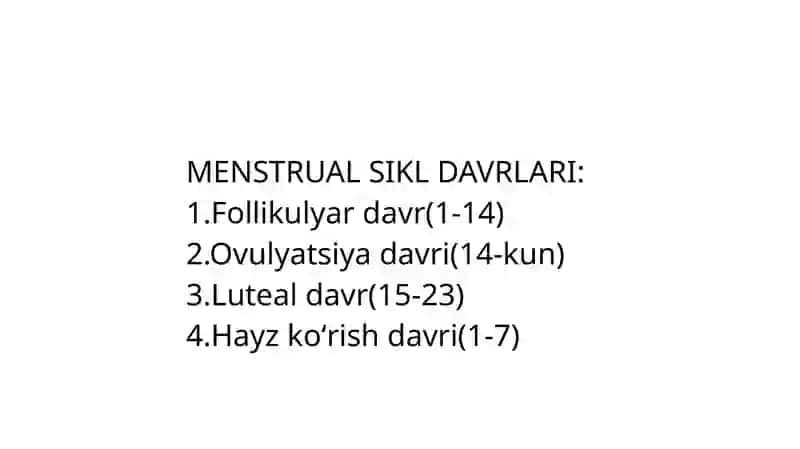 MENSTRUAL(Hayz) SIKL DAVRLARI 3