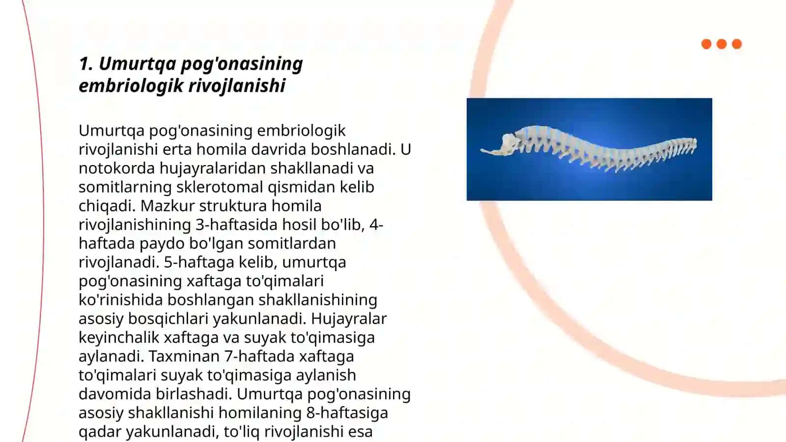 Umurtqa birlashmalarining rivojlanishdagi òzgarishlari 3