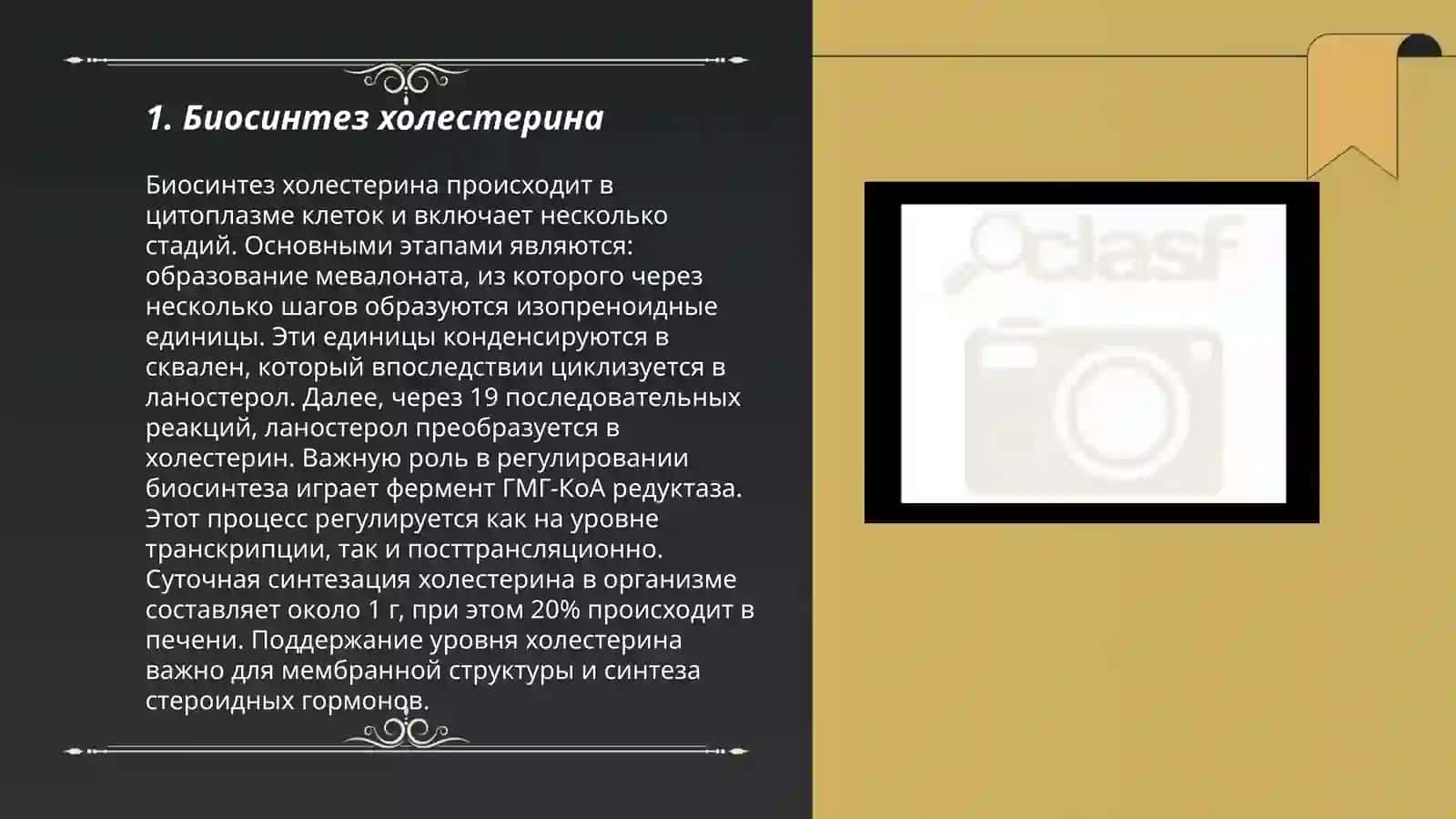 Сложный лепедный обмен. Метаболизм холестерина 3