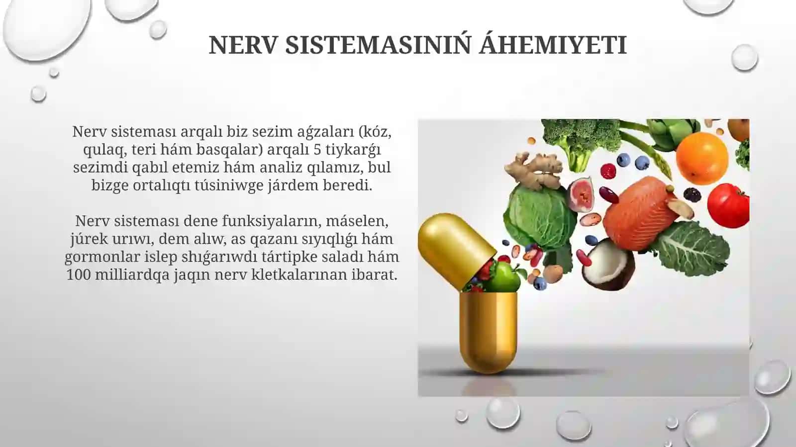 Nerv sistemasının áhmiyeti hám gigienasi 3
