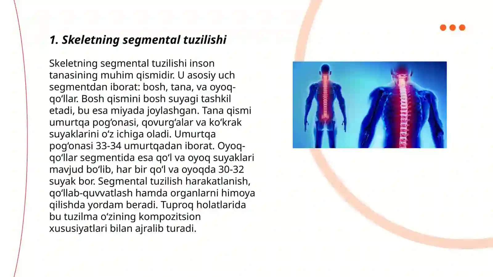 Skeletning sigmental tuzulishi umurtqalarning yoshga va jinsga boģliq holda òzgarishi 3