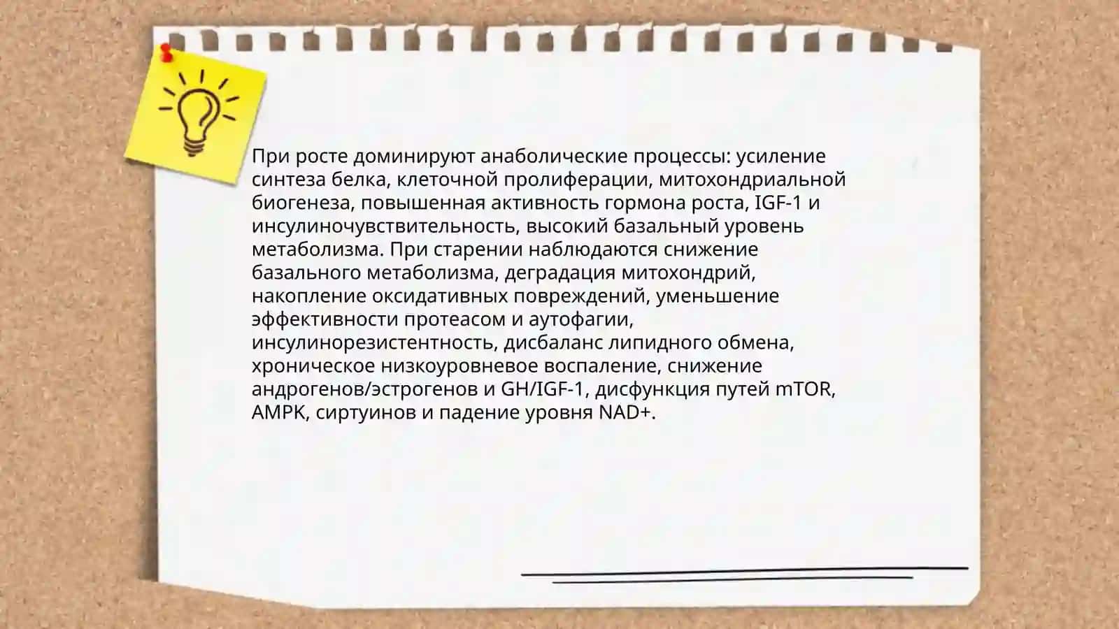 Биохимические свойства растущих и стареющих организмов 3
