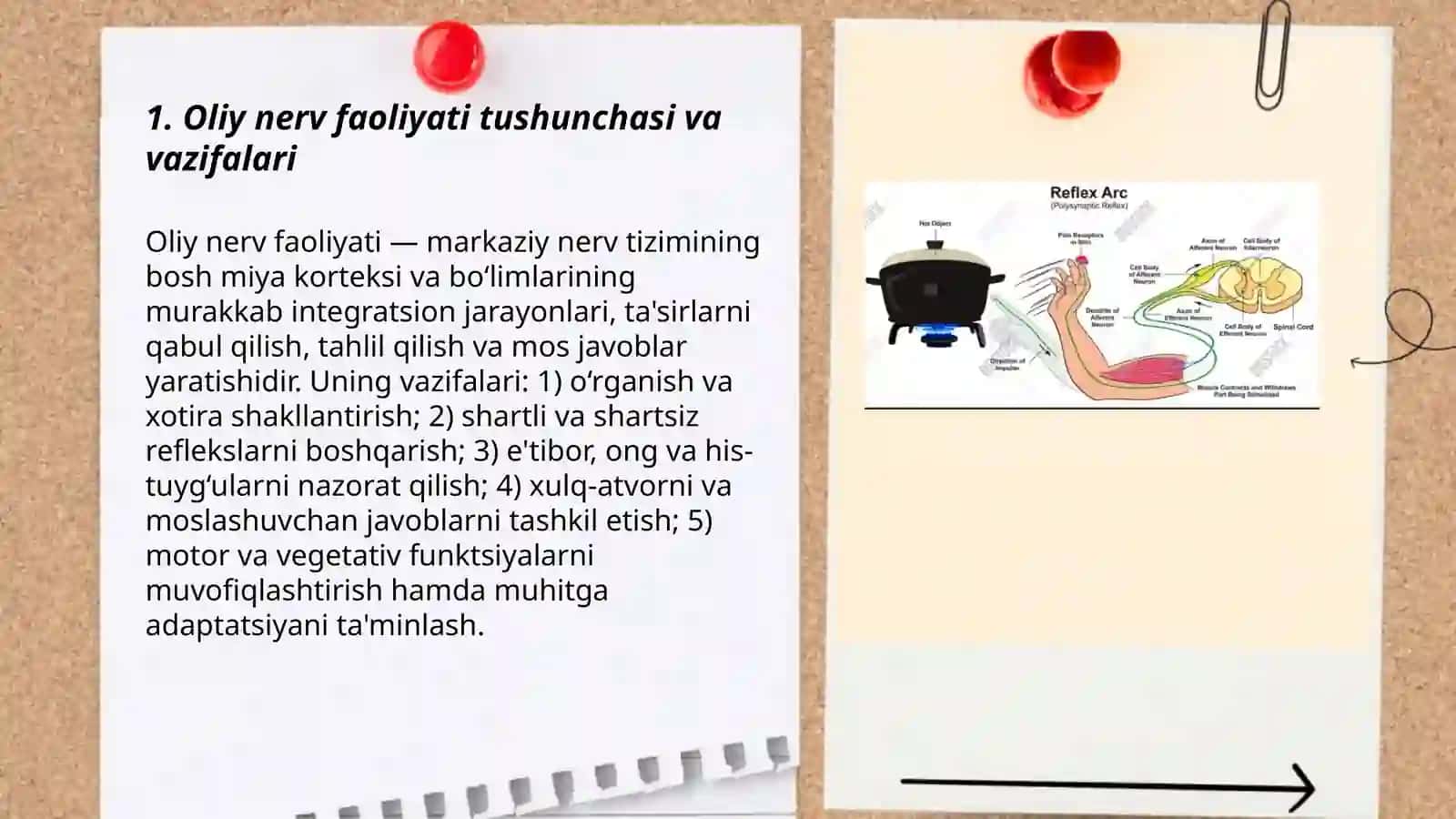 Oliy nerv faoliyati: Shartli shartsiz reflekslar 3