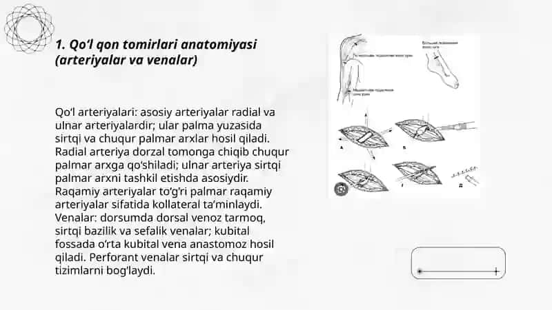 Qoʻlning qon tomirlari va periferik nervlarida operatsiyalar 3